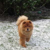 Re: O/T Show me your pets!!