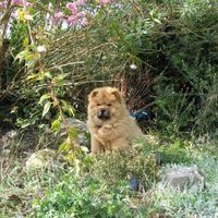 Re: O/T Show me your pets!!