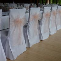 Chair Sashes vs Very Very Red Carpet