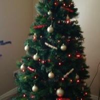 Re: OT Flash your XMas Tree!!!!!