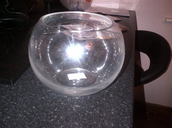 6x 8" fishbowls
