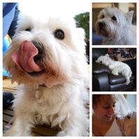 Re: What's your photo of the fortnight?