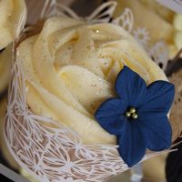 6 months to go! *FLASH*