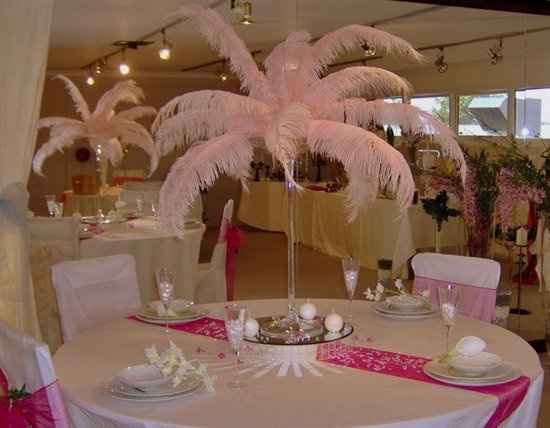 Wanted: Ostrich Feathers 