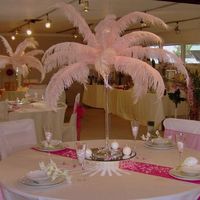 Wanted: Ostrich Feathers 