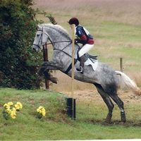 Re: Anybody ever ridden their own horse to the wedding?