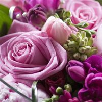 Re: Colour help - **Sherrie inspiration needed!!!***