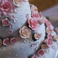 Re: Anyone want to flash their cakes for me?!  I need inspiration!
