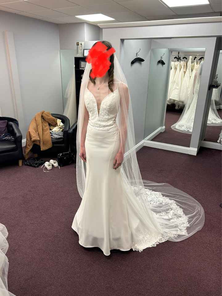 Wedding Dress Help! - 1