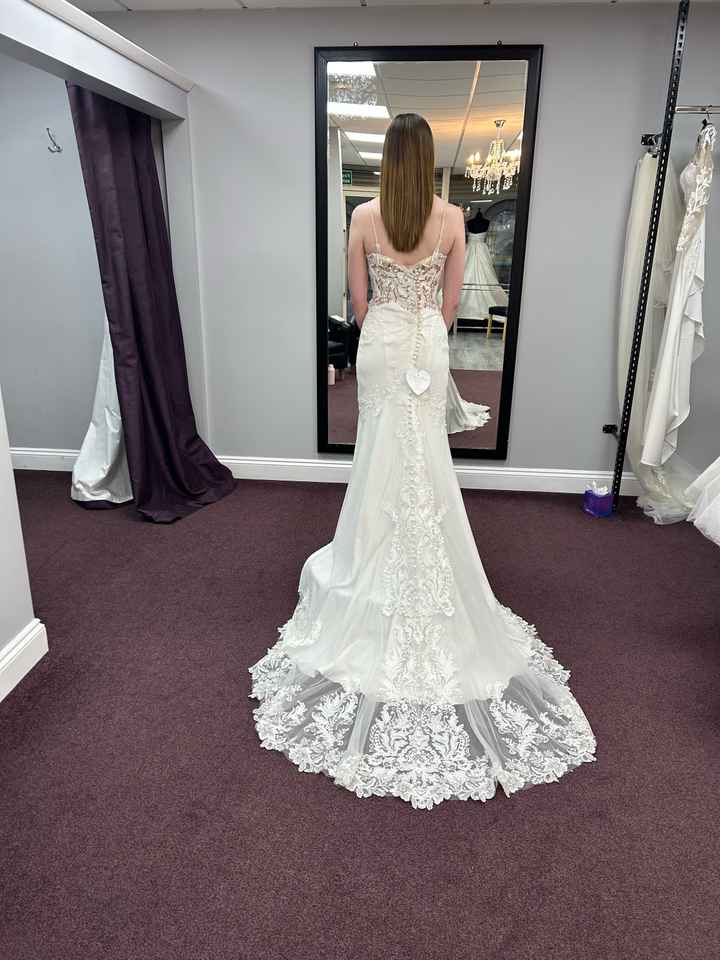Wedding Dress Help! - 3