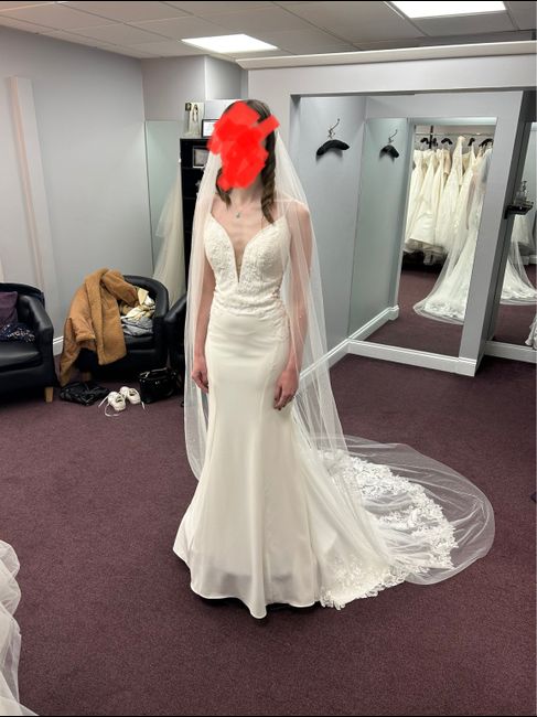 Wedding Dress Help! 1