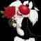 Puddycat