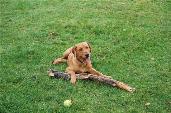 Re: Busy Weekend with Flash, if ya want a Nosy