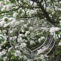 Vintage Bird Cages & Hanging Silver Hearts