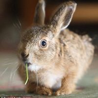 Re: Fancy a heartwarming story?