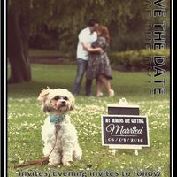 Engagment Shoot **FLASH**