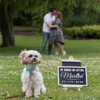 Re: Engagement photo shoot in 2 hours time.....