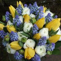 Re: HELP...please... With colours/bridesmaid dresses...