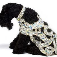 Re: REHelp - diamond and dog related.