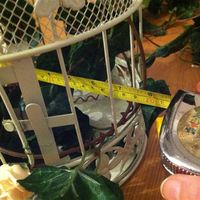 Birdcages - 2 x Large 3 x small