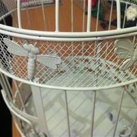 Birdcages - 2 x Large 3 x small