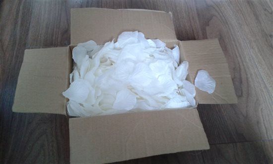 various wedding items / decorations (petal aisle runner, string lights, cake stand, tablecloths) EH4