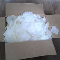 various wedding items / decorations (petal aisle runner, string lights, cake stand, tablecloths) EH4