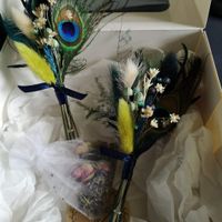 Peacock theme bad luck - 1