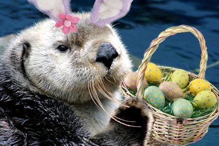 Re: Easter Plans