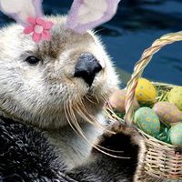 Re: Easter Plans