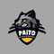 Paito