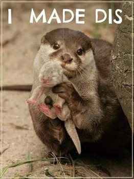 Otter baby love