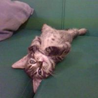 Re: Following on from the puppy thread