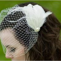 Re: HIBs... I'm looking for a birdcage veil on a hairband...