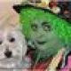 grotbags