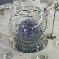 Re: 353 days to go eeek! *flash*