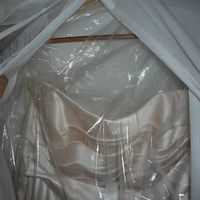 For Sale (*BARGAIN*) Alan Hannah Acapulco Champagne Wedding Dress (Fit 10/12)
