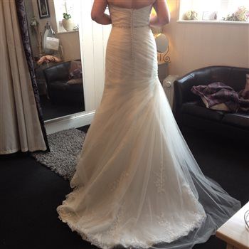 22 Days To Go... Flash!