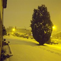 Shall we have a snow flash.....