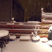 Shall we have a snow flash.....