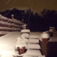 Shall we have a snow flash.....