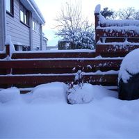 Re: Shall we have a snow flash.....