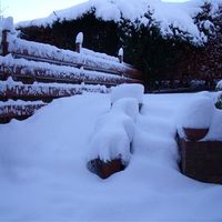 Re: Shall we have a snow flash.....