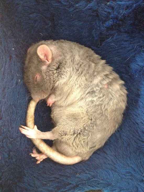 Re: What's your photo of the fortnight?