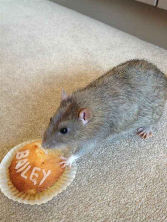 Re: Shocked at how sweet my OH is