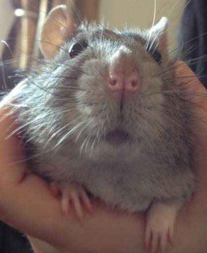 Re: September 2014 Brides :)