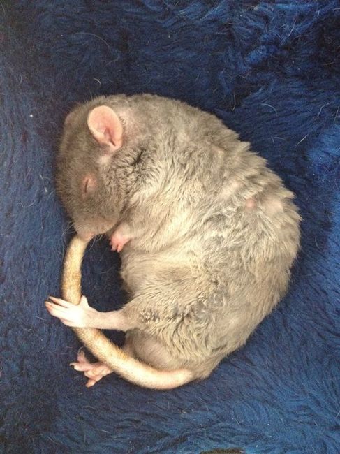 Re: What's your photo of the fortnight?