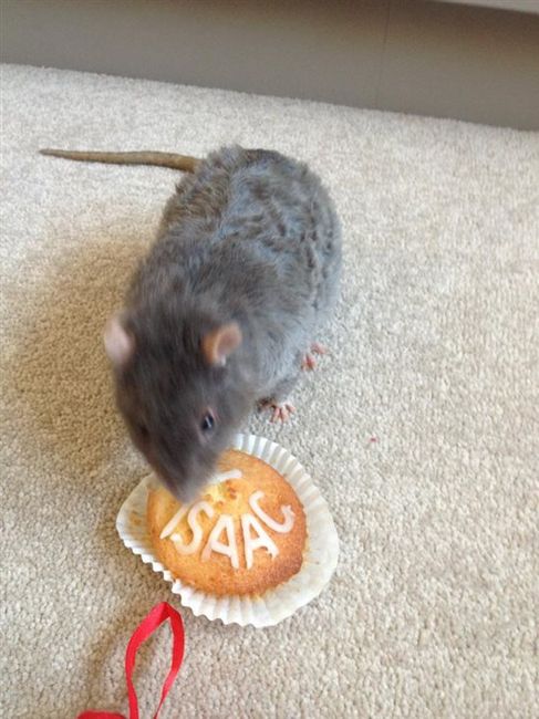 Re: Shocked at how sweet my OH is