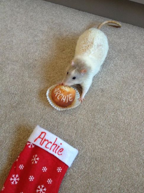 Re: Shocked at how sweet my OH is