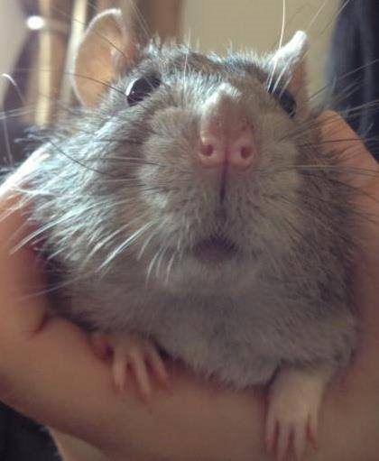 Re: September 2014 Brides :)